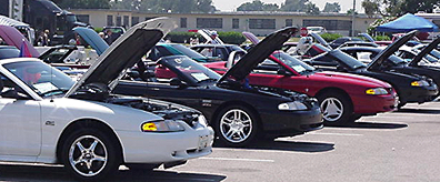 Late Model Mustangs Lined Up